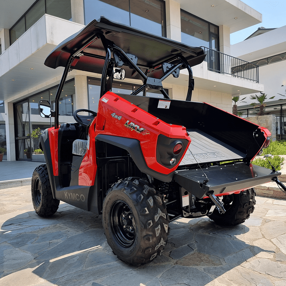 ���� �̹��� �����