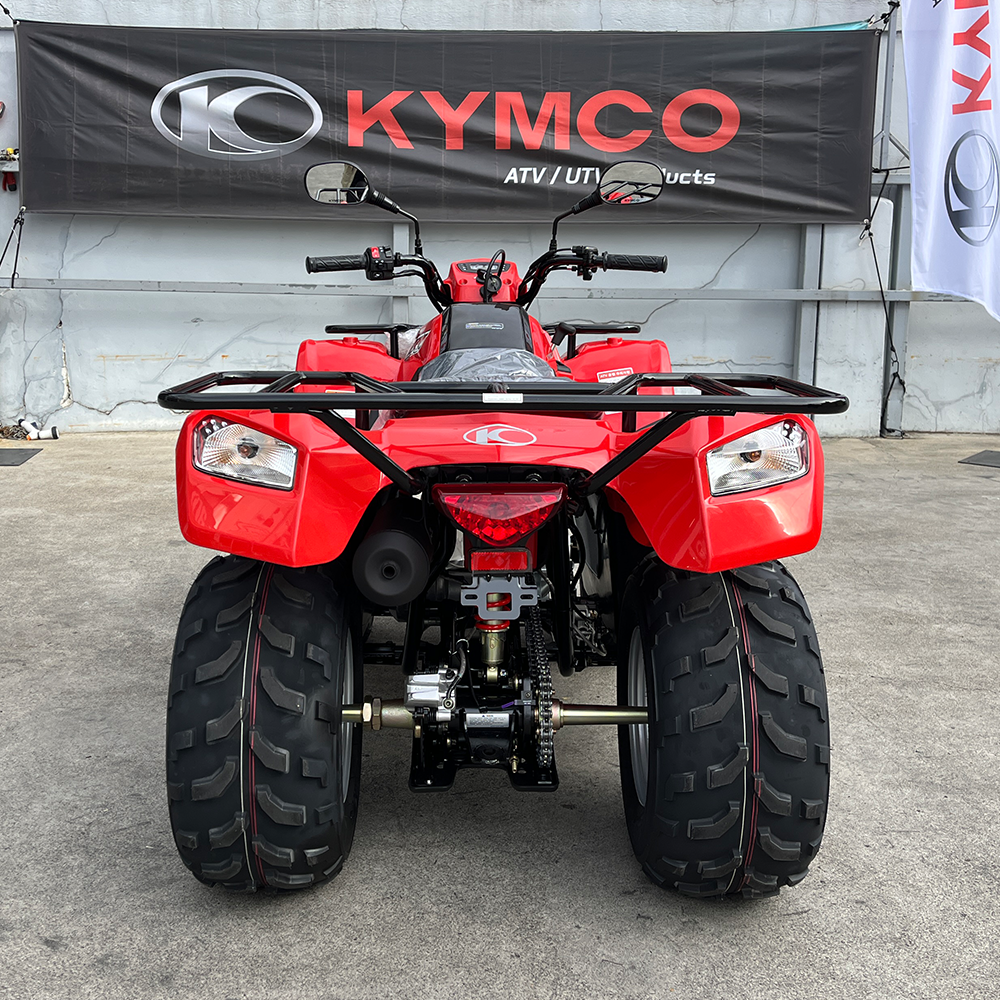 ���� �̹��� �����