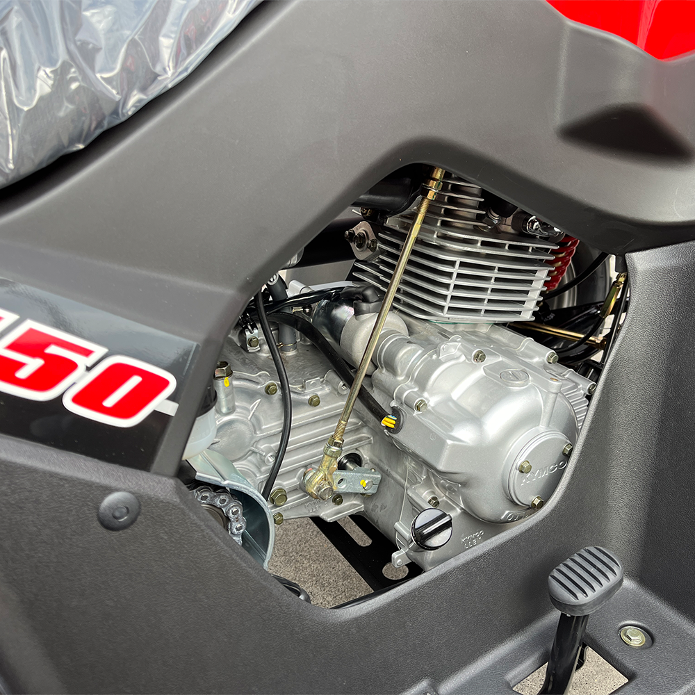 ���� �̹��� �����