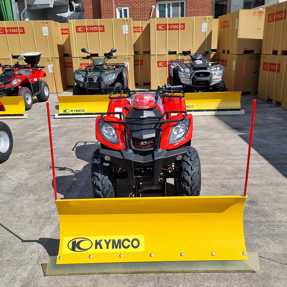 ���� �̹��� �����