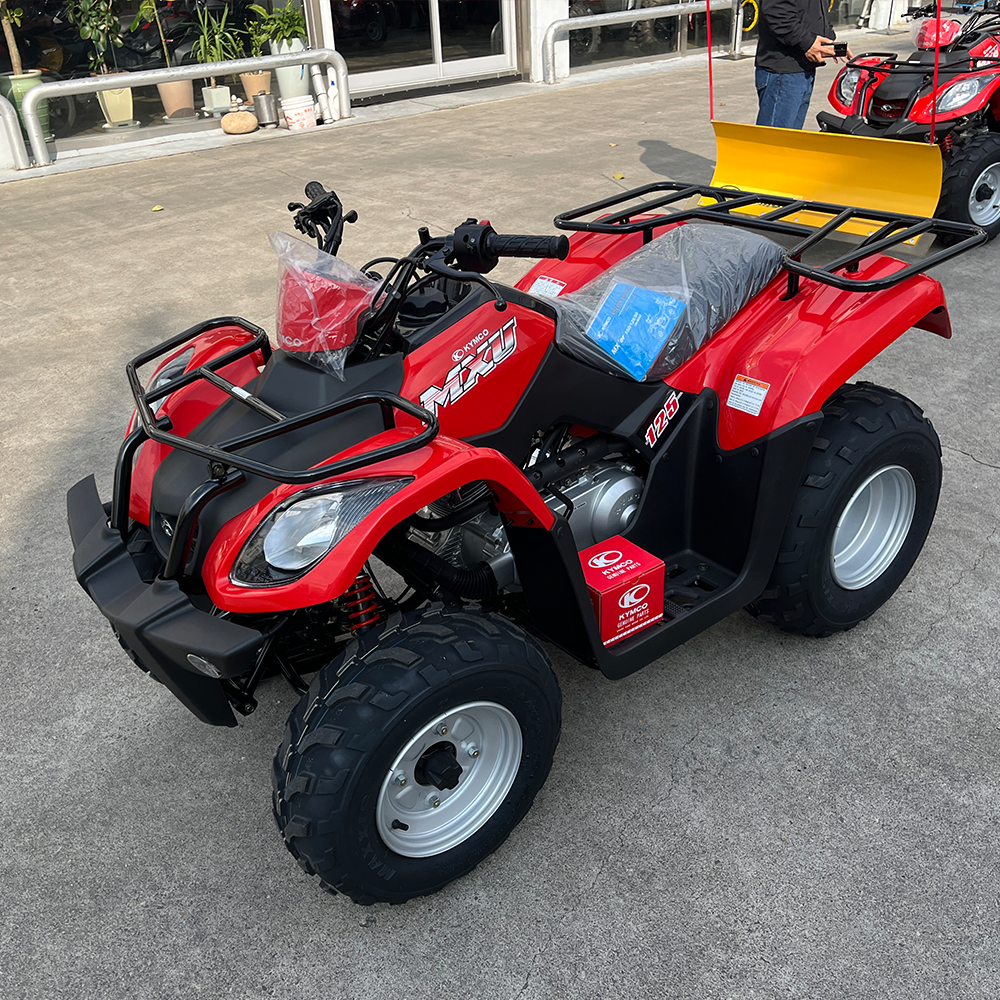 ���� �̹��� �����