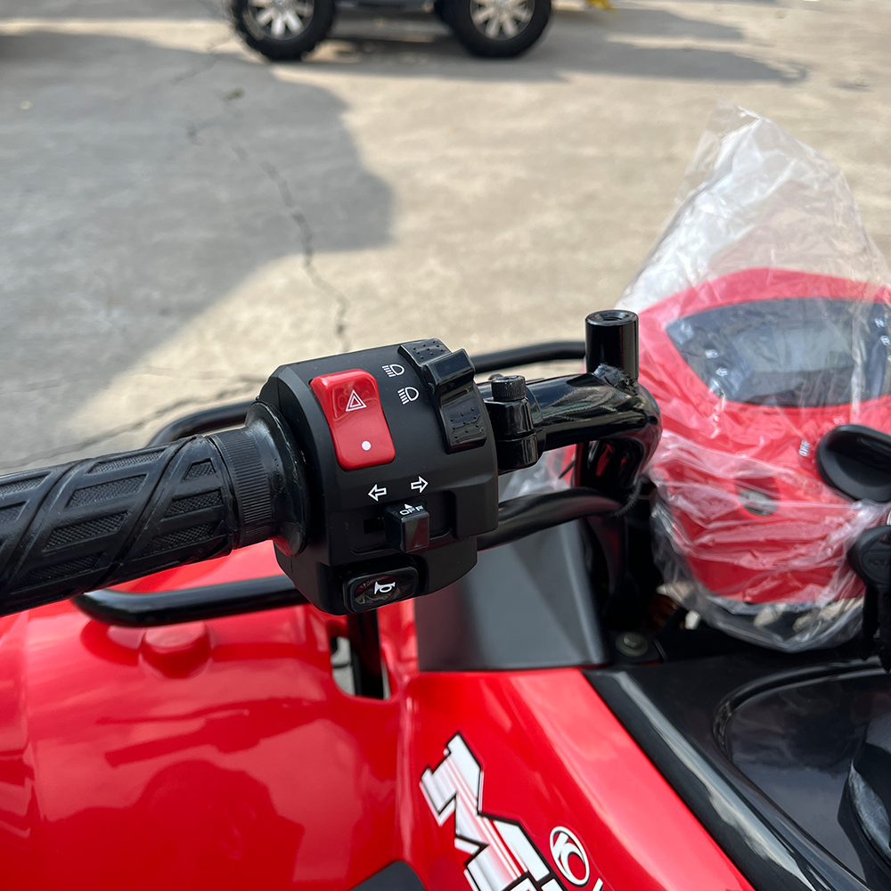 ���� �̹��� �����