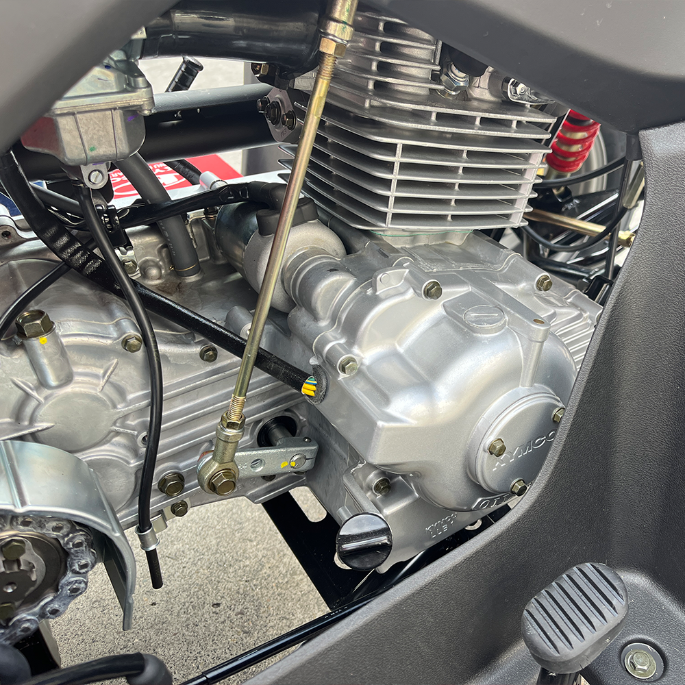 ���� �̹��� �����