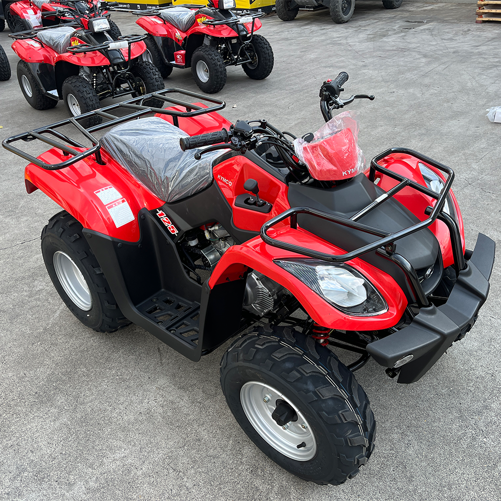 ���� �̹��� �����