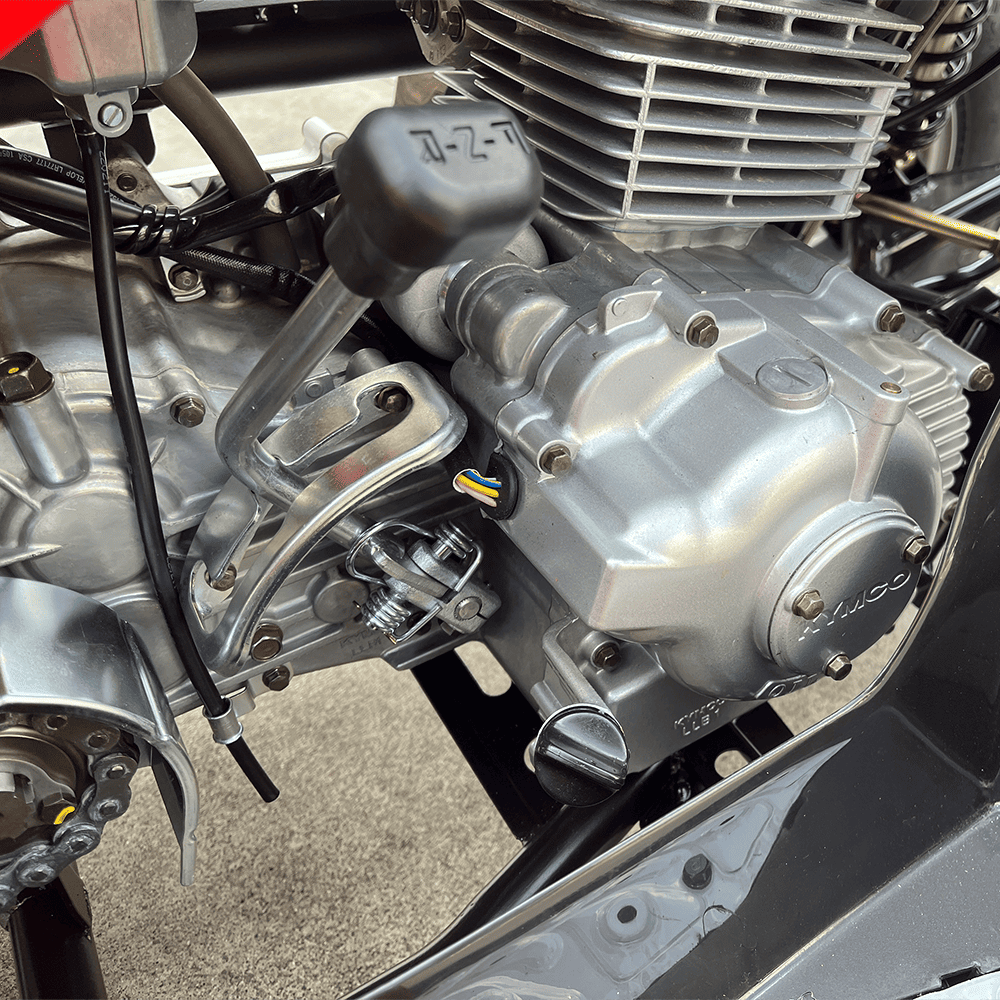 ���� �̹��� �����